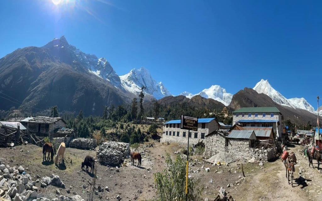 Manaslu Tsum Valley Trek