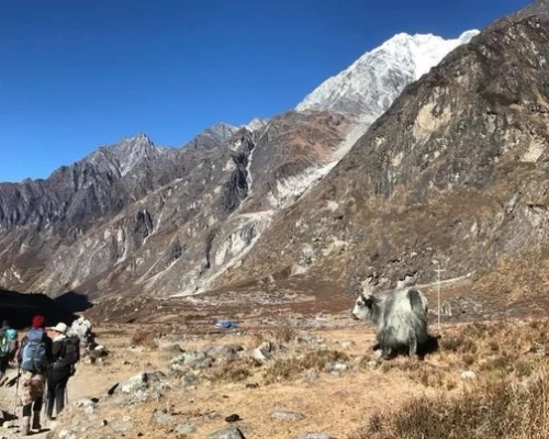 Langtang Trek